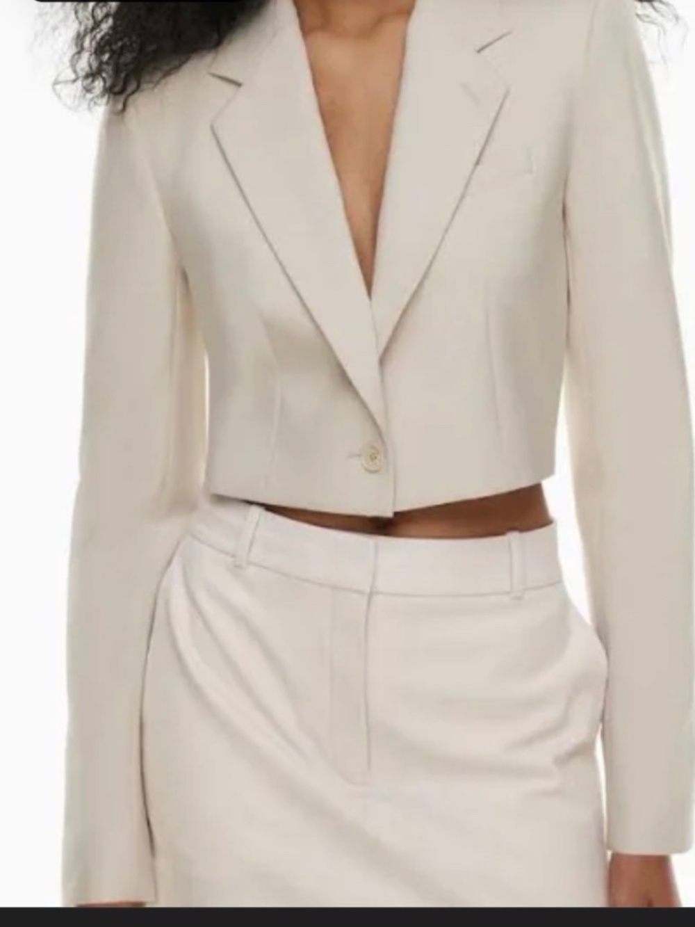 Aritzia cropped blazer Babaton - new